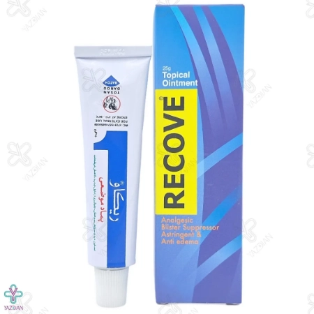 پماد سوختگی ریکاو توسن دارو - 25 گرم